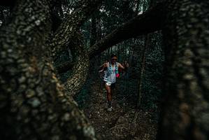 BIB: 
                            <button type="button" onclick="openModal(25688975)" class="btn btn-primary btn-sm float-right btn-popup" data-toggle="modal" data-target=".modal-high-quality">
                        <i class="fas fa-shopping-cart"></i> Add to Cart
                    </button>
                                            <button type="button" onclick="isThisMe(25688975, true)" class="btn btn-success btn-sm float-right btn-popup btn-isme hidden" data-toggle="tooltip" data-placement="bottom" title="นี่คือรูปของคุณใช่ไหม คลิกที่นี่เพื่อเอาเข้าอัลบั้ม">
                        <i class="fas fa-plus"></i> Add to album
                    </button>
                    <button type="button" onclick="isThisMe(25688975, false)" class="btn btn-warning btn-sm float-right btn-popup btn-isnotme hidden">
                        <i class="fas fa-ban"></i> Remove from album
                    </button>